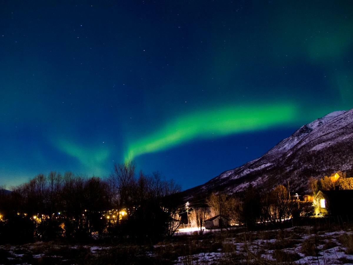 Olderdalen Ski Camp Екстер'єр фото